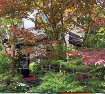パーティーID:4351105の画像