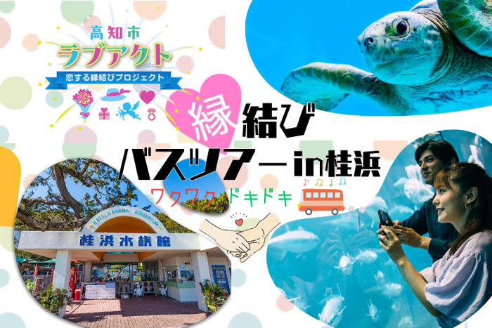 パーティーID:4352113の画像