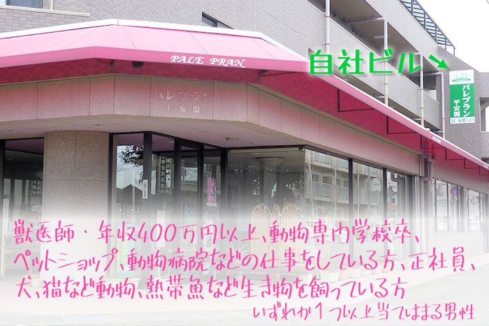 パーティーID:4352201の画像