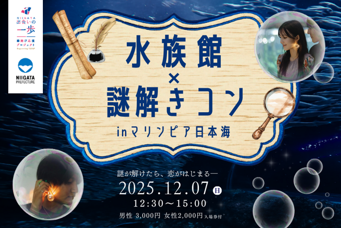 パーティーID:4352379の画像