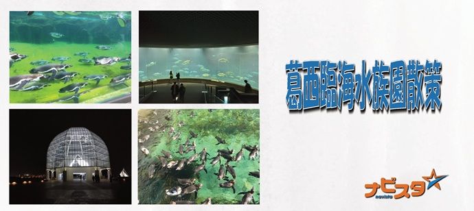 パーティーID:4353511の画像