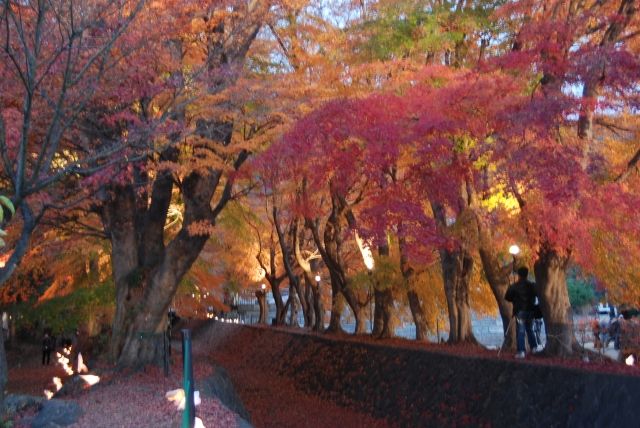 パーティーID:4353580の画像