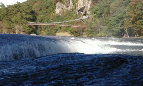 パーティーID:4353621の画像