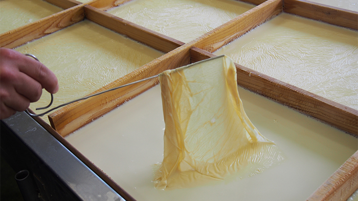 パーティーID:4353622の画像