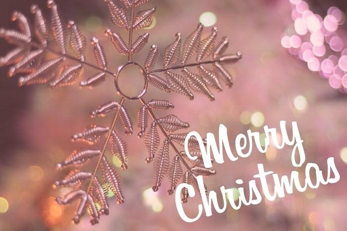 パーティーID:4354516の画像