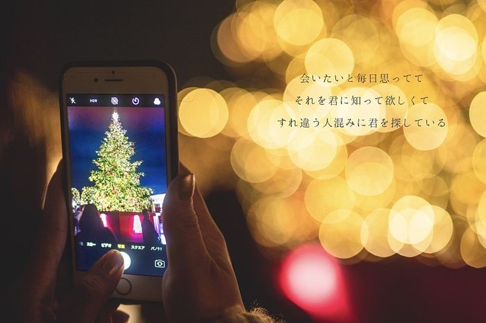 パーティーID:4355581の画像