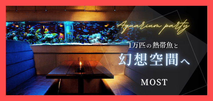 パーティーID:4355911の画像