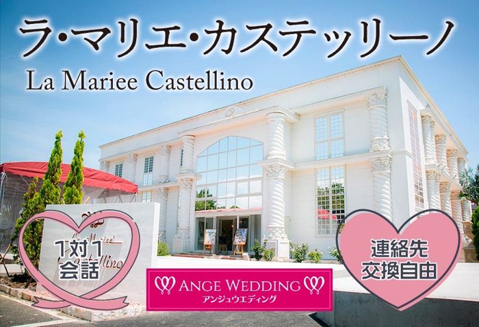 パーティーID:4356005の画像