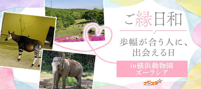 パーティーID:4359006の画像