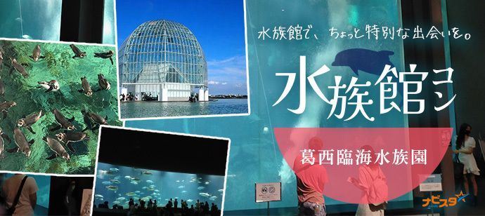 パーティーID:4359358の画像