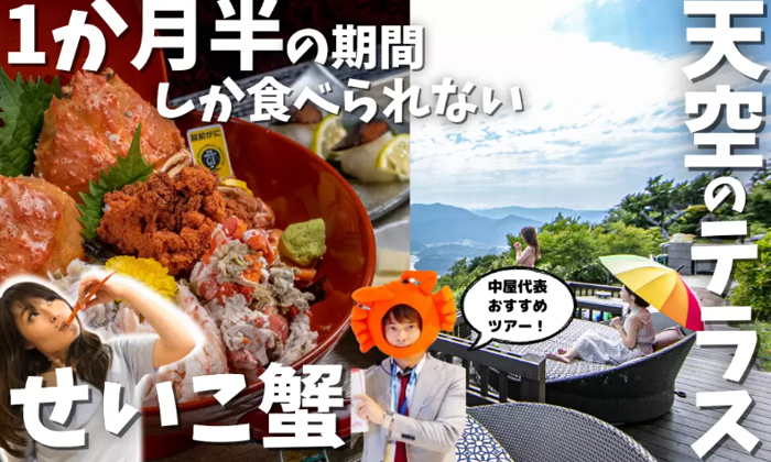 パーティーID:4359709の画像