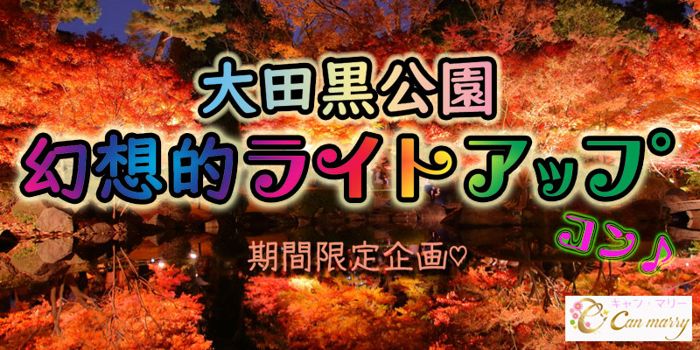 パーティーID:4360404の画像