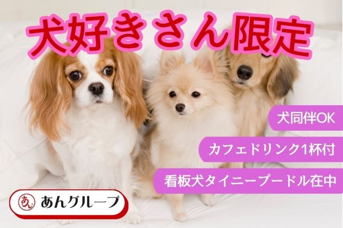 パーティーID:4361126の画像