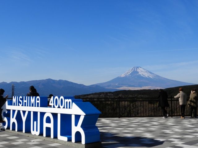 パーティーID:4361625の画像