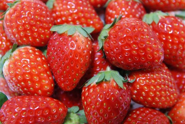 パーティーID:4361629の画像