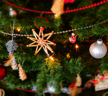 パーティーID:4363073の画像