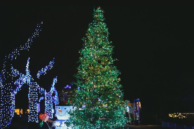 パーティーID:4365253の画像