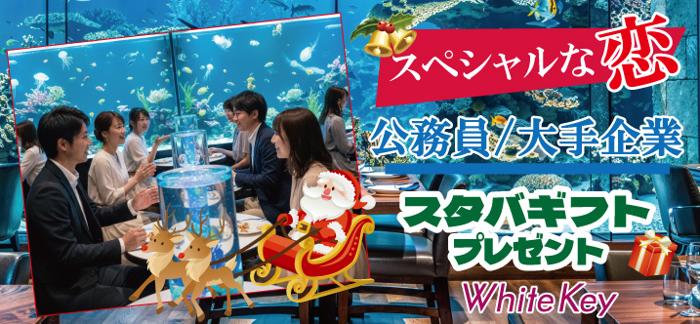 パーティーID:4366527の画像