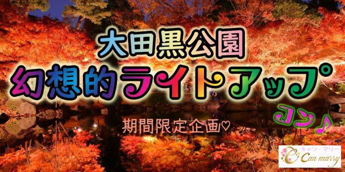 パーティーID:4367393の画像