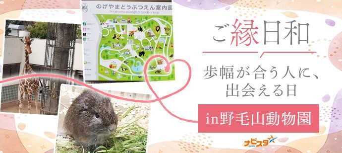 パーティーID:4367568の画像