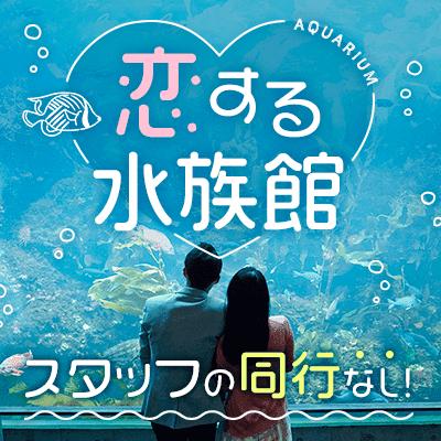 パーティーID:4367977の画像