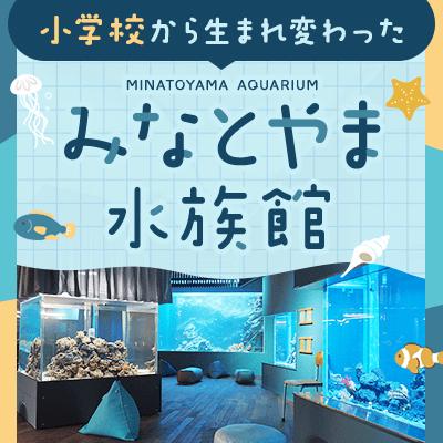 パーティーID:4367977の画像