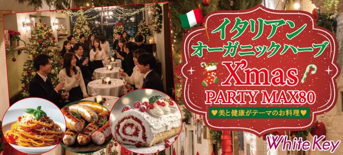 パーティーID:4368582の画像