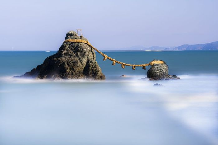 パーティーID:4368609の画像