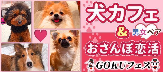 パーティーID:4369059の画像