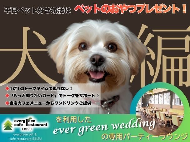 パーティーID:4369828の画像