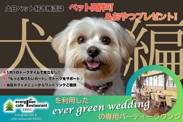 パーティーID:4369829の画像