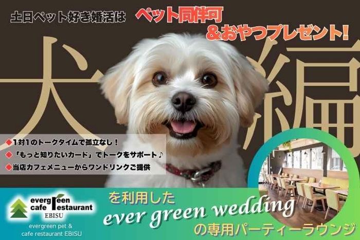 パーティーID:4369830の画像