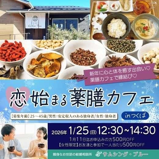 パーティーID:4369861の画像