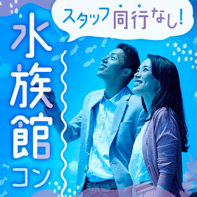 パーティーID:4371261の画像