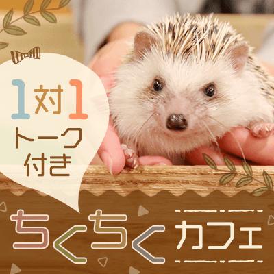 パーティーID:4371290の画像