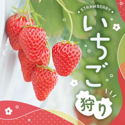 パーティーID:4371292の画像