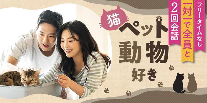 パーティーID:4372435の画像