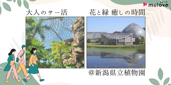 パーティーID:4372889の画像