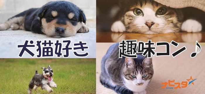 パーティーID:4373062の画像