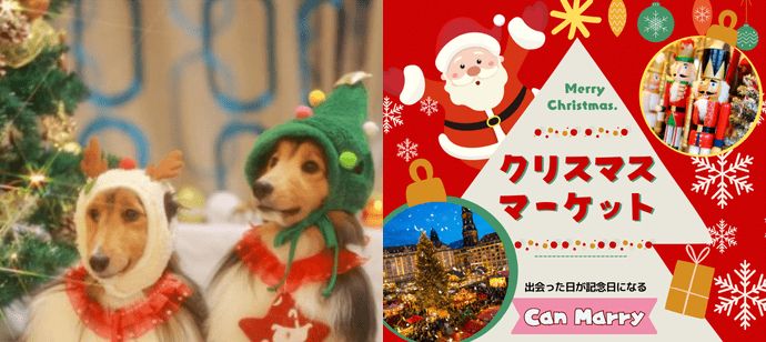 パーティーID:4374010の画像