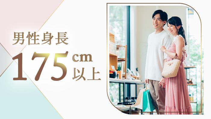 パーティーID:4374134の画像