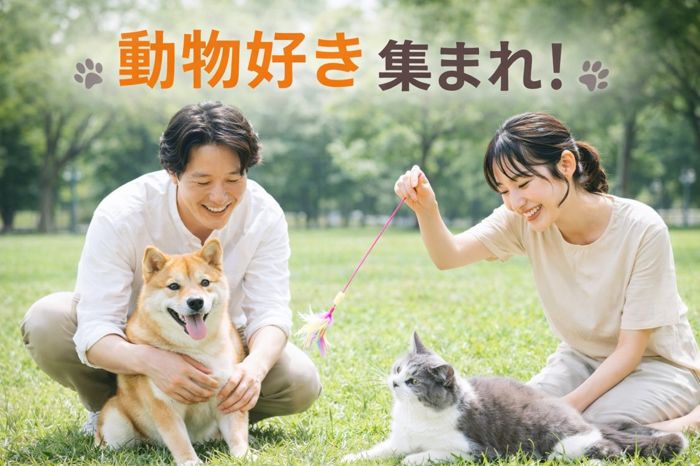 パーティーID:4374241の画像