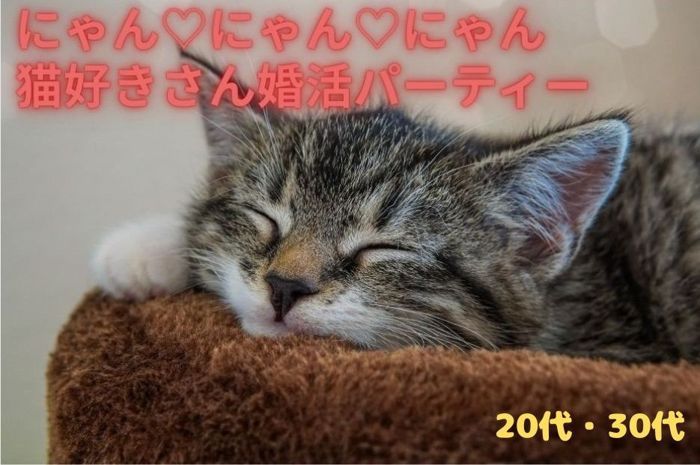 パーティーID:4374253の画像