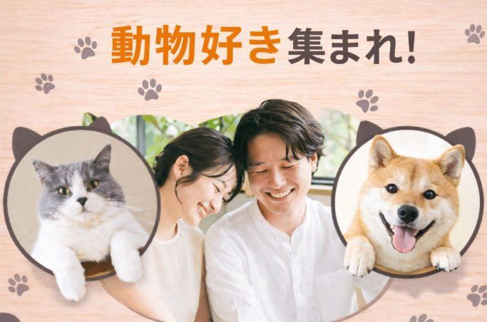 パーティーID:4374253の画像