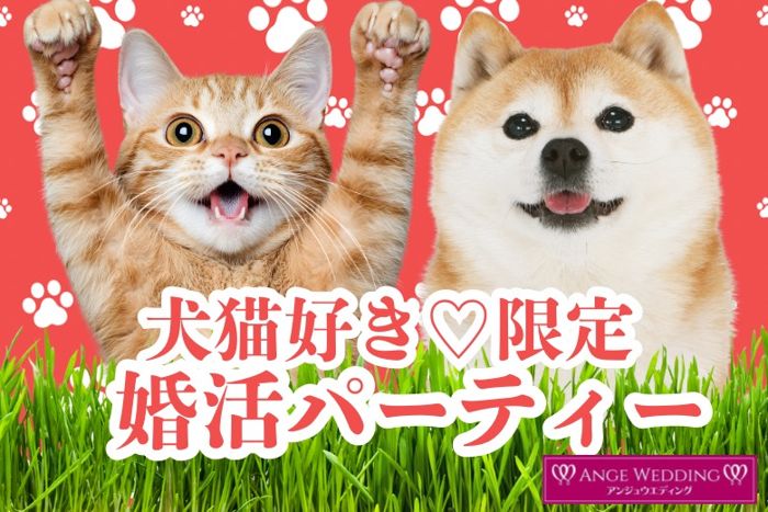 パーティーID:4374470の画像