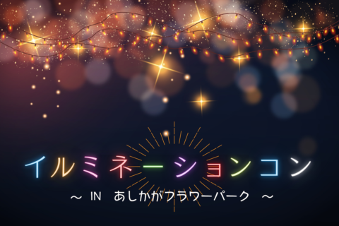 パーティーID:4376614の画像