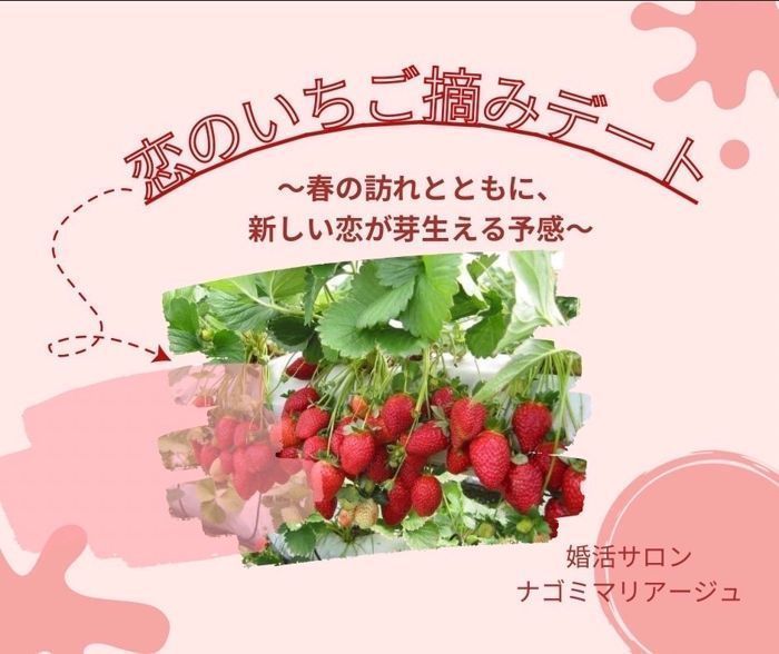 パーティーID:4377126の画像