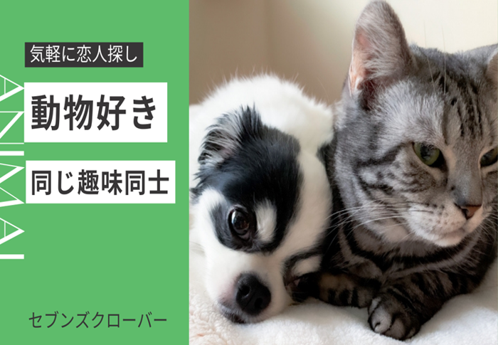 パーティーID:4377461の画像