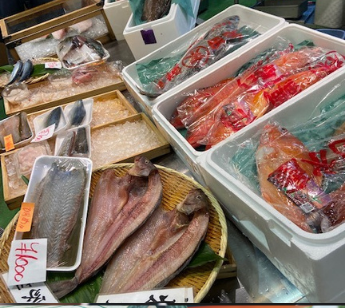 パーティーID:4379021の画像