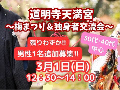 パーティーID:4379438の画像